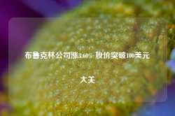 布鲁克林公司涨3.60% 股价突破100美元大关-第1张图片-地坪门户网