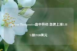 Capricor Therapeutics盘中异动 急速上涨5.18%报19.80美元-第1张图片-地坪门户网