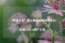 “欧洲之光”竟让高盛赔得血本无归：起底Northvolt破产之谜-第1张图片-地坪门户网