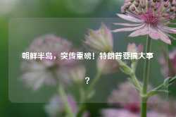 朝鲜半岛，突传重磅！特朗普要搞大事？-第1张图片-地坪门户网