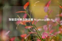 加密货币概念股走高 MicroStrategy涨8.4%-第1张图片-地坪门户网