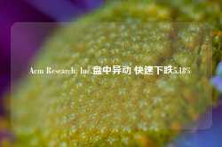 Acm Research, Inc.盘中异动 快速下跌5.18%-第1张图片-地坪门户网