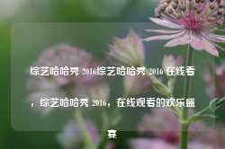 综艺哈哈秀 2016综艺哈哈秀 2016 在线看，综艺哈哈秀 2016，在线观看的欢乐盛宴-第1张图片-地坪门户网