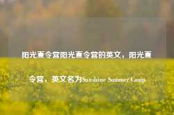 阳光夏令营阳光夏令营的英文，阳光夏令营，英文名为Sunshine Summer Camp-第1张图片-地坪门户网