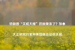 特朗普“关税大棒”的报复来了？加拿大正研究对某些美国商品征收关税-第1张图片-地坪门户网