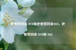 把爱带回家 DVD版把爱带回家2018，把爱带回家 DVD版 2018-第1张图片-地坪门户网