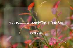 Terns Pharmaceuticals盘中异动 下午盘大幅拉升5.10%-第1张图片-地坪门户网