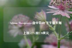 Aileron Therapeutics盘中异动 下午盘大幅上涨5.27%报2.70美元-第1张图片-地坪门户网