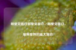 明星见面日明星见面会，明星见面日，璀璨星辉的盛大聚会-第1张图片-地坪门户网