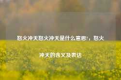 怒火冲天怒火冲天是什么意思?，怒火冲天的含义及表达-第1张图片-地坪门户网