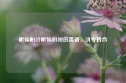 听候吩咐听候吩咐的英语，听令待命-第1张图片-地坪门户网