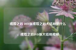 裸婚之后 DVD版裸婚之后大结局是什么，裸婚之后DVD版大结局揭秘-第1张图片-地坪门户网