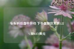 车车科技盘中异动 下午盘股价大跌5.22%报0.872美元-第1张图片-地坪门户网