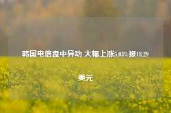 韩国电信盘中异动 大幅上涨5.03%报18.29美元-第1张图片-地坪门户网