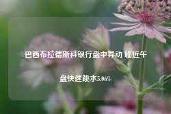 巴西布拉德斯科银行盘中异动 临近午盘快速跳水5.06%-第1张图片-地坪门户网